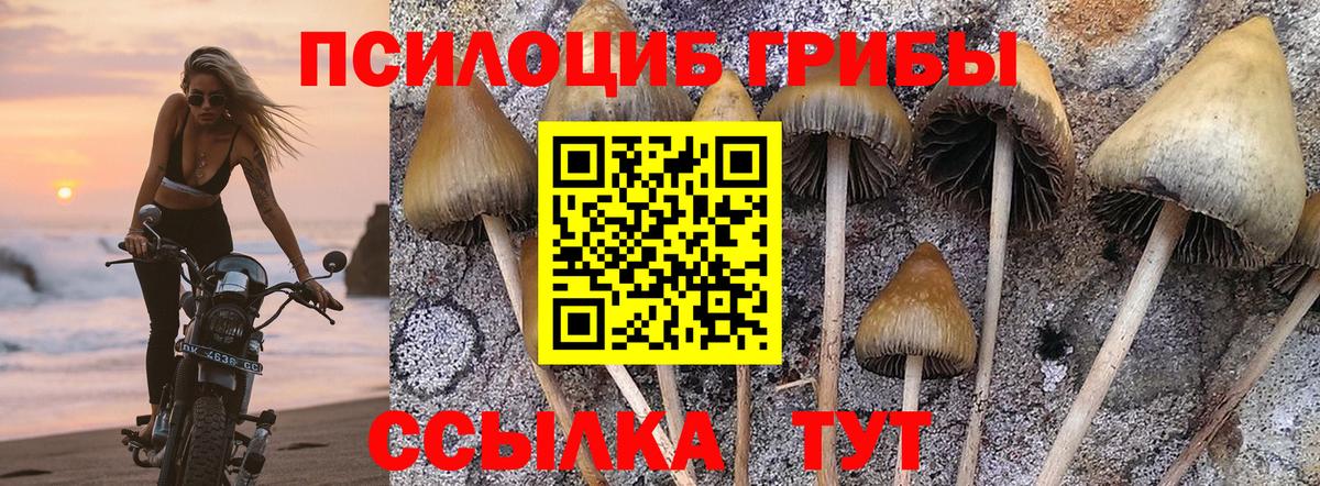 Галлюциногенные грибы мухоморы Печора