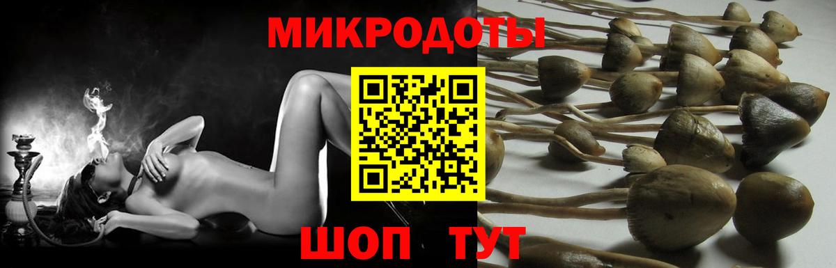 Галлюциногенные грибы ЛСД  купить закладку  Печора  Вход с VPN  Псилоцибиновые грибы Cubensis 
